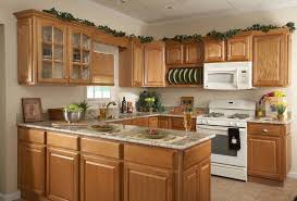 Pitfalls To Avoid In A Tampa Kitchen Remodeling Project